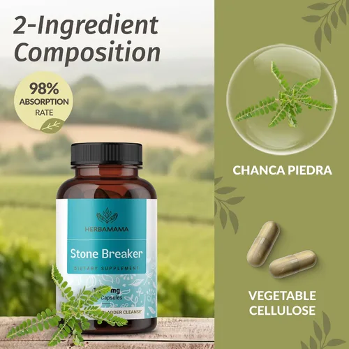 Vista 4 de HERBAMAMA Chanca Piedra Stone Breaker Cápsulas de 1200 mg – Rompe cálculos renales, limpieza de la vesícula biliar y apoyo del tracto urinario