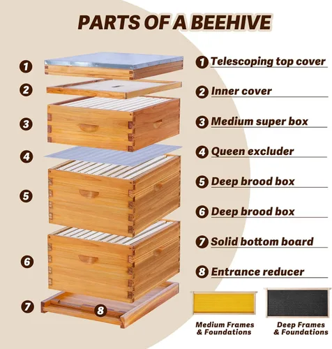 Vista 2 de Kit completo de colmena de abeja Langstroth de 10 marcos, recubierto de cera de abeja, incluye marcos de colmena y hojas de base enceradas