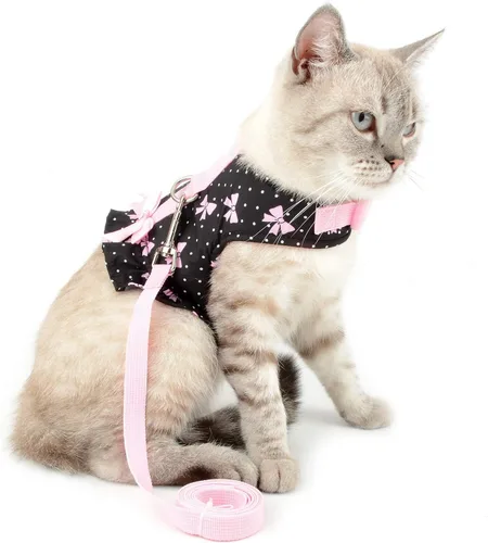 Vista 2 de SMALLLEE_LUCKY_STORE Vestido de arnés con lazo para perros pequeños, negro, XS Water-Resistant, Adjustable Fit, Padded, Escape-proof, Outdoor