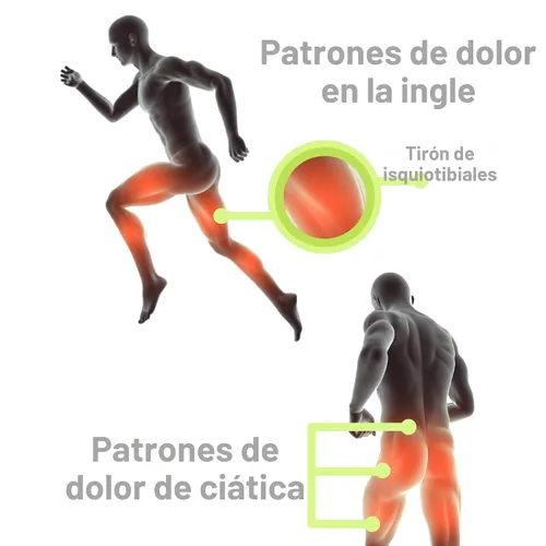 Vista 8 de Faja de Ingle, ajustable para el alivio del dolor de cadera, ingle, tendón de la corva, muslo, y nervios ciáticos