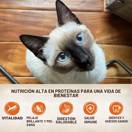 Vista 3 de Wellness CORE Tiny Tasters - Alimento húmedo en paté para gatos adultos, natural, rico en proteínas, sin granos, bolsa de 1.75 onzas, paquete de 12