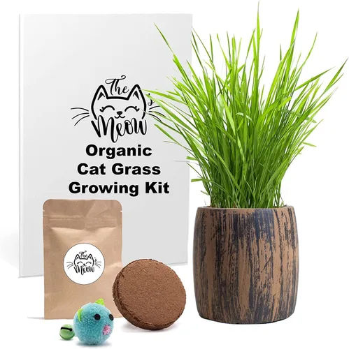 Vista 5 de Kit de hierba para gatos de interior – Semillas orgánicas y tierra de mejor valor para 4 plantaciones, incluye juguete de regalo para gatos