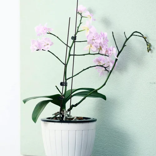 Vista 3 de Planterhoma Paquete de 3 macetas de riego automático para plantas de interior, macetas de plástico de 7.1 pulgadas, color blanco