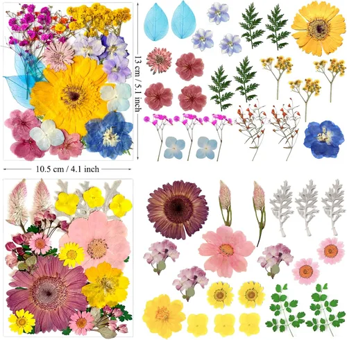 Vista 5 de 90 piezas de flores secas prensadas grandes para moldes de resina, flores naturales reales surtidas, pétalos de hojas para manualidades, joyas