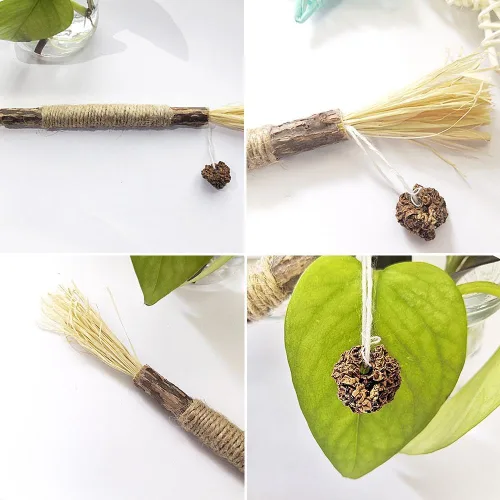 Vista 7 de 10 palitos de vid plateada para gatos, juguetes para masticar gatos, palitos de plata naturales, juguete interactivo para limpieza de dientes