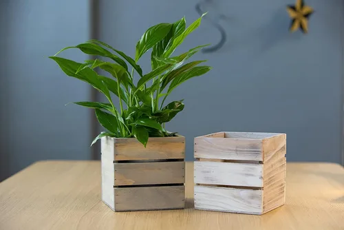 Vista 4 de Macetero de madera con caja de vino estilo l 6 pulgadas cuadrado l blanqueado o rústico con forro de plástico, l centro de mesa de jardín, soporte