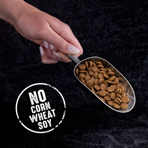 Vista 8 de Alimento seco para gatos CRAVE alto en proteína, sin cereales