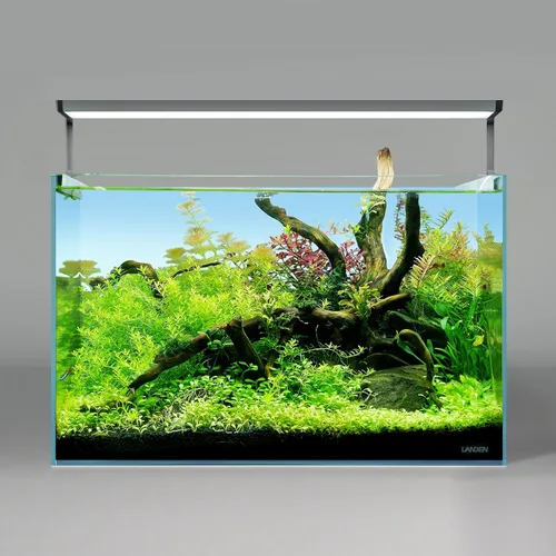 Vista 5 de LANDEN Kueiyang Hornwood para acuascaping, decoración de madera flotante de acuario, ramas naturales (12-14 pulgadas, 30-35cm), 4