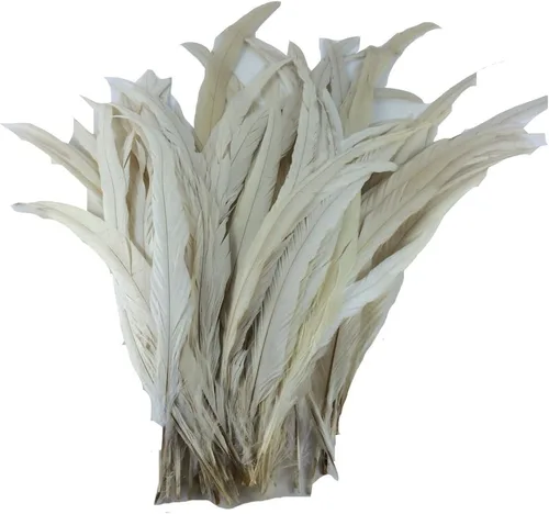 Vista 8 de Nature Rooster Coque Tails Feathers - Decoración de manualidades para disfraz de 12-14 pulgadas, paquete de 25 (color negro)