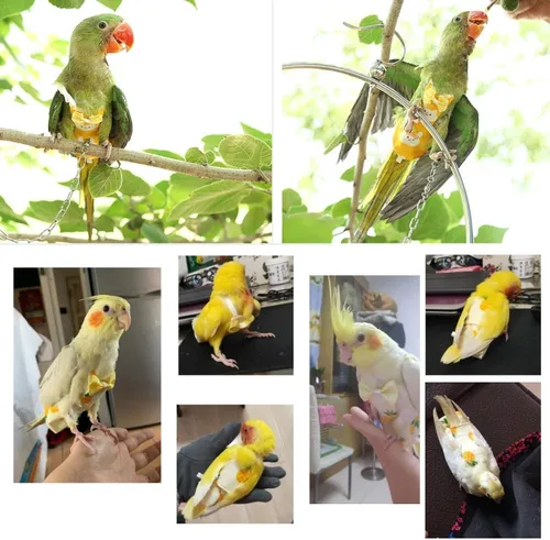 Vista 7 de QBLEEV - Suite de vuelo para pañales para pájaros, pañal reutilizable para loro Soft & waterproof inner layer, cute pigeon pants urine wet suit