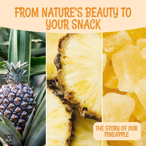 Vista 6 de Oh! Nuts Trozos de piña seca - Piña seca - Fruta seca de piña - 1 libra - Fruta deshidratada con menos azúcar añadido