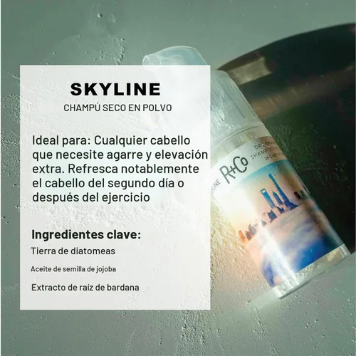 Vista 6 de R+Co SKYLINE Dry Shampoo Powder