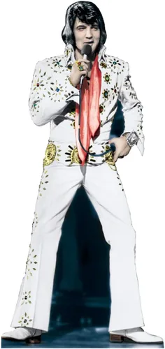 Vista 13 de Imágenes en cartón de Elvis Presley , talla única , Elvis 1