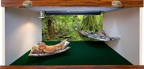 Vista 3 de Fondo de hábitat de reptiles, bosque lluvioso, 15.75 "x 36