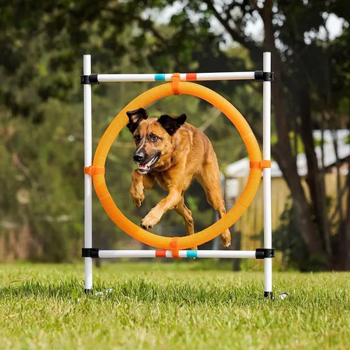 Vista 5 de Midlee Dog Agility - Juego para principiantes - salto de aro, postes de tejido y salto de barra