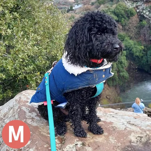 Vista 7 de KYEESE - Abrigo para perro suave, suéter para mascotas para clima frío, chaqueta impermeable para perros con forro de felpa, abrigo cálido