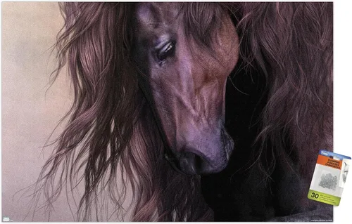 Vista 7 de Trends International Laurie Prindle - Equus Wall Poster with Push Pins
