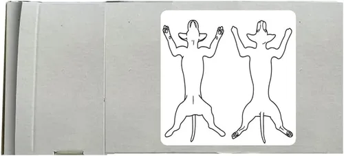 Vista 2 de Examen físico canino veterinario, Doctor Stuff Veterinarian Stickers, 2-1/2" x 2-1/2", Blanco, 240/Roll, Tabbies Vet V-AN315