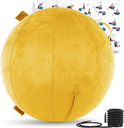Vista 24 de Husband Pillow Exercise Ball, Cover with Pump for Yoga, Pilates, Fitness Balance Stability, Office Ball Chair Seat. Soft & Slip Resistant, Pro Guide