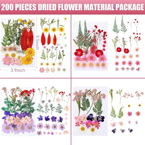 Vista 6 de Nuanchu 200 piezas de flores secas prensadas para resina, flores naturales prensadas reales, hojas a granel para manualidades, manualidades, arte