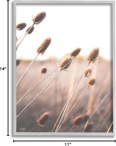 Vista 8 de Stupell Industries Brotes de plantas tranquilas brotes de hierba de prado, diseño de Donnie Quillen Stupell Industries Gray, 11 x 14 Inches