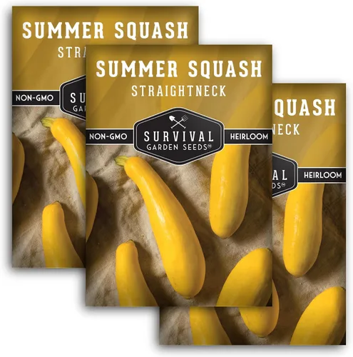 Vista 11 de Survival Garden Seeds - Semilla de calabaza de verano de cuello recto para plantar - Paquete con instrucciones para plantar y cultivar calabaza