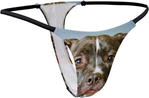 Vista 7 de Pit Bull - Tanga para perro para mujer, bragas sexys, ropa interior elástica con espalda en T