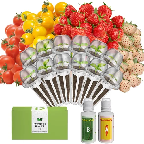 Vista 11 de inbloom Kit de vainas de semillas verdes para ensalada orgánica para AeroGarden, sistema de cultivo hidropónico Ahopegarden, alimento bajo