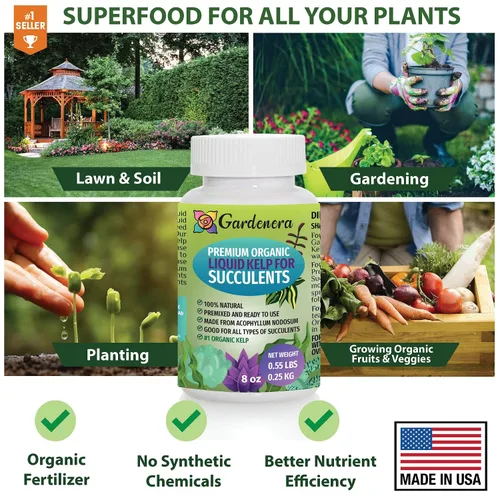 Vista 6 de Gardenera - Superalimento prémium para suculentas y cactus – 8 onzas – Fertilizante natural de algas para una salud y resistencia óptimas