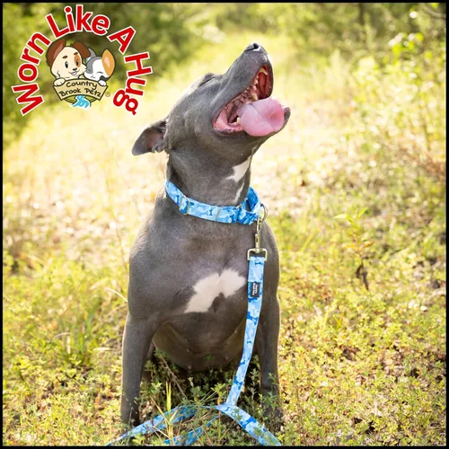 Vista 3 de Country Brook Petz - Collar de perro Martingala de camuflaje azul con diseño de camuflaje y diseños resistentes (1/2 pulgada, 2XS)
