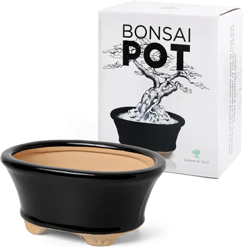 Vista 7 de Maceta para bonsái de cerámica esmaltada, maceta de cerámica para suculentas y plantas pequeñas, maceta rectangular negra perfecta para jardines
