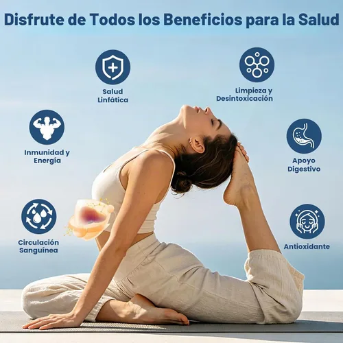 Vista 4 de LUCNVEM Gotas de drenaje linfático liposomal: gotas de drenaje linfático orgánico 9 en 1 con equinácea, raíz de bardana, diente de león, cardo