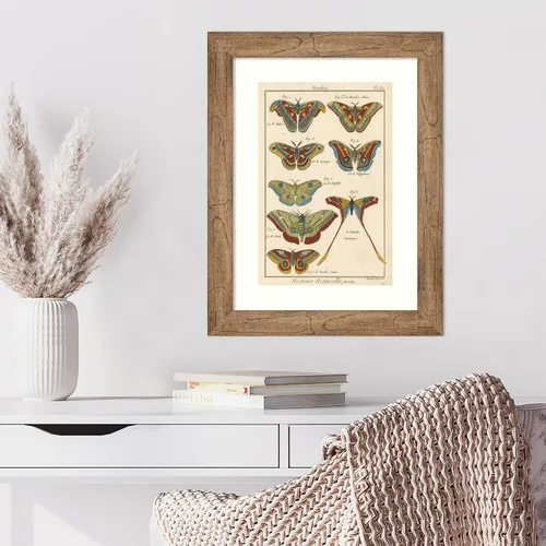 Vista 4 de Amanti Art Lienzo decorativo para pared enmarcado de 24 x 18 pulgadas, diseño de mariposas de naturaleza III de historia, arte de pared de animales