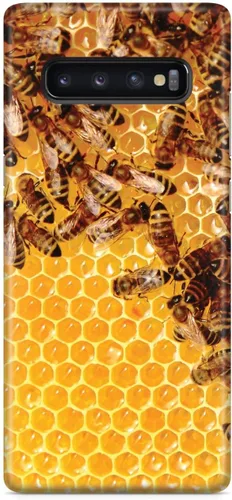 Vista 17 de Inspired Cases - Compatible with iPhone Xs Max Case - 3D Textured Protective Phone Case for Apple iPhone Xs Max - Honey Bees - Real Life