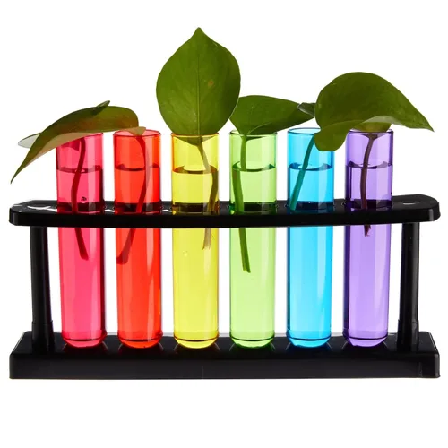 Vista 9 de Paquete de 4 tubos de ensayo de plástico con estante para fiestas, propagación de plantas, soporte para vasos de chupito de tubo de ensayo