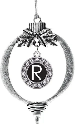 Vista 131 de Inspired Silver - Adorno de cromosoma 21 con dije de círculo de plata con joyas de circonita cúbica