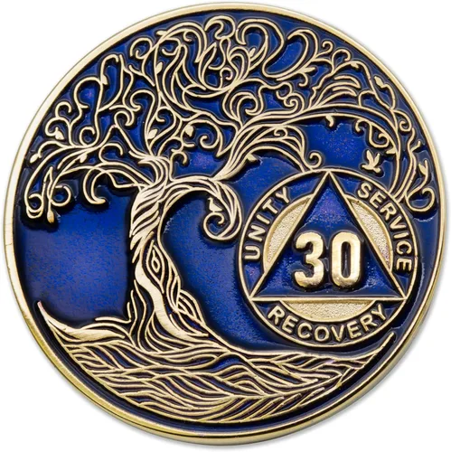 Vista 53 de 1 año Sobriety Mint Twisted Tree of Life Medallón de recuperación AA chapado en oro, chip/ficha - negro