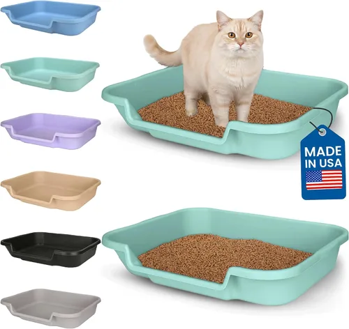 Vista 34 de KittyGoHere - Caja de arena para gatos mayores, sartén pequeña con cuchara jumbo de mango largo, caja de arena para gatos de entrada baja, ligera