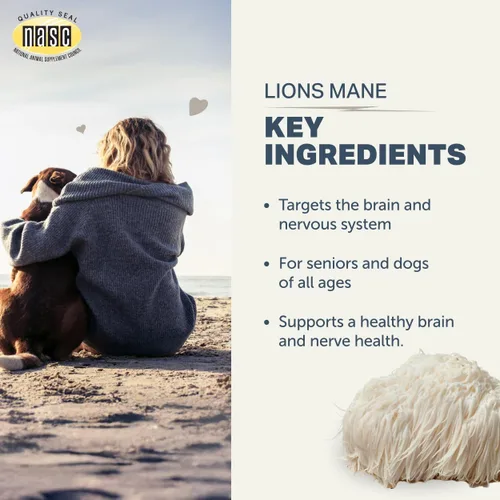 Vista 7 de Four Leaf Rover Melena de león para perros - Suplemento para cerebro