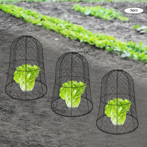 Vista 3 de Paquete de 5 Cloches de alambre de pollo para jardín, 12.99 pulgadas de profundidad x 15.75 pulgadas de alto, protectores y cubiertas de plantas
