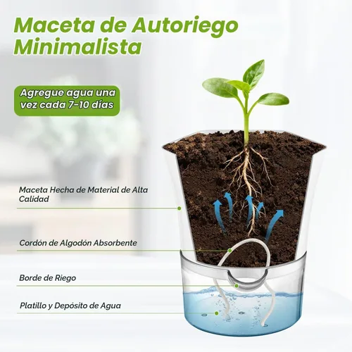 Vista 5 de Paquete de 6 macetas transparentes de riego automático de 6 pulgadas para plantas de interior, macetas hexagonales grandes con riego automático