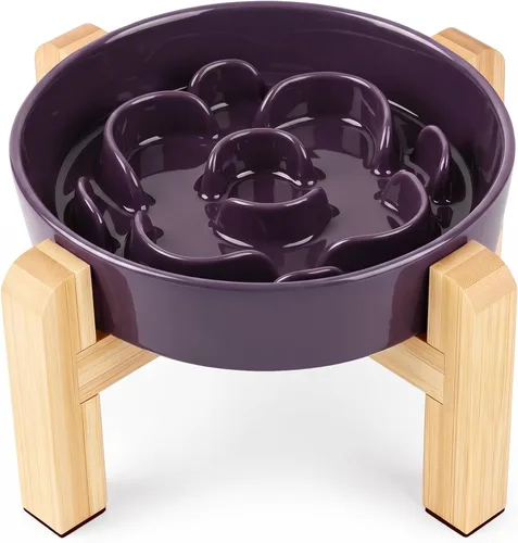 Vista 11 de Cuenco elevado para perros de alimentación lenta, 0.8 tazas de cerámica elevado con soporte inoxidable, cuenco elevado para perros de 6.3 pulgadas