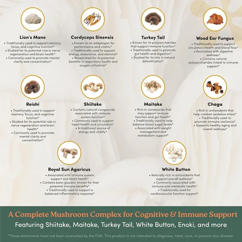Vista 5 de Mushroom+ Blend 10 cápsulas complejas de hongos Melena de león, Reishi, Cordyceps y Chaga Enfoque + Claridad, energía y apoyo inmunológico