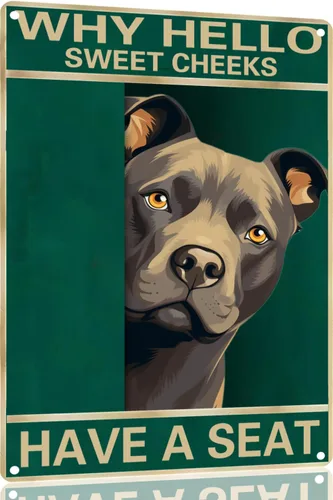 Vista 44 de Labrador Retriever - Letrero de metal con texto en inglés "Why Hello Sweet Cheeks Have A Seeks Have A Seeks" (1683)