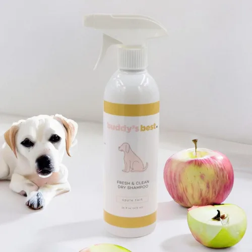 Vista 2 de Buddy's Best Fresh & Clean - Champú seco para perros, botella de 16 onzas líquidas sin agua, champú para perros y cachorros (tarta de manzana)