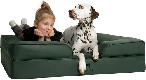 Vista 18 de NOAH & PAW Cama para perros pequeños, 20 x 15 x 8 pulgadas, cama para gatos de interior, espuma viscoelástica ortopédica de cáscara de huevo