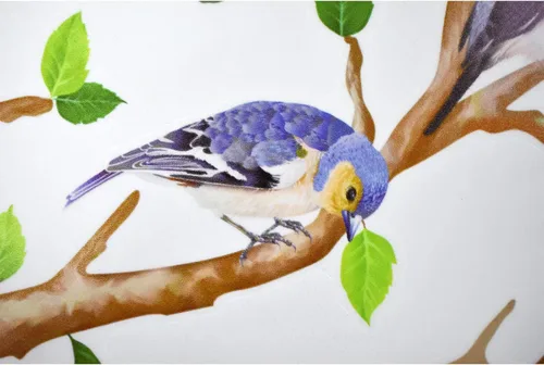 Vista 7 de Maydahui Vinilo adhesivo de pared con diseño de pájaros en ramas de árbol (34 x 34 pulgadas) removible para despegar y pegar, murales artísticos