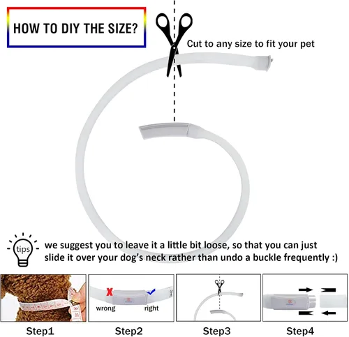 Vista 5 de Collar de perro recargable USB-C, collar de luz multicolor súper brillante, resistente a la intemperie, luz de seguridad para caminar por la noche