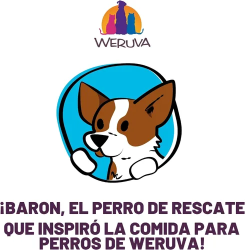 Vista 9 de Weruva Comida Clásica para Perros, Paw Lickin' Chicken con Pechuga de Pollo en Salsa, Lata de 14oz (Paquete de 12)