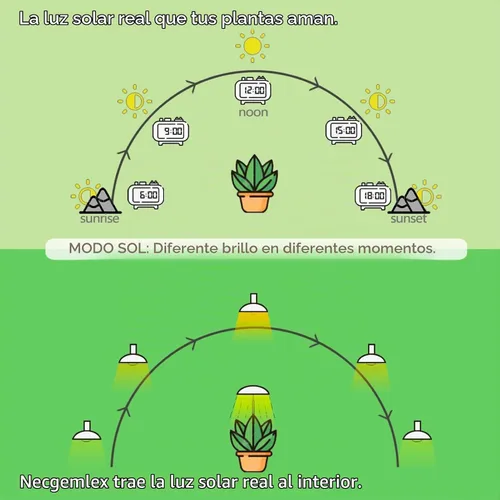 Vista 3 de Bombillas inteligentes de crecimiento para plantas de interior, temporizador programable y atenuación Full Spectrum Plant Grow Bulbs, Dimmable
